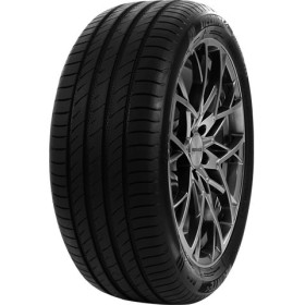 DELINTE - 225/55 ZR18 TL 102W DELINTE DS2 SUV XL - 2255518 - BBB